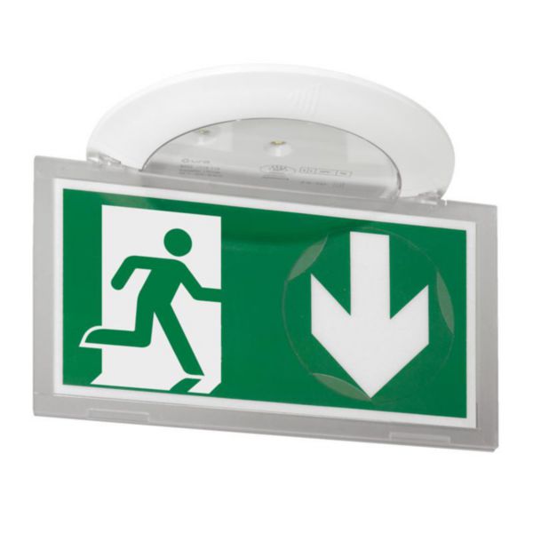 Équipe Vigilus pour Alarmes & évacuation